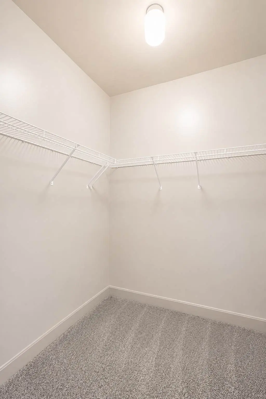 1BR/1BA CozySuites at the Banks