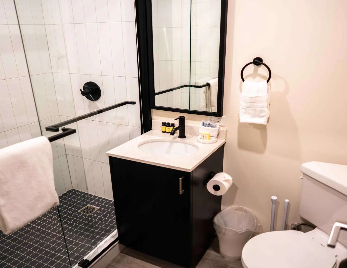 Roami at the Fitz | SDO gym, laundry in building!