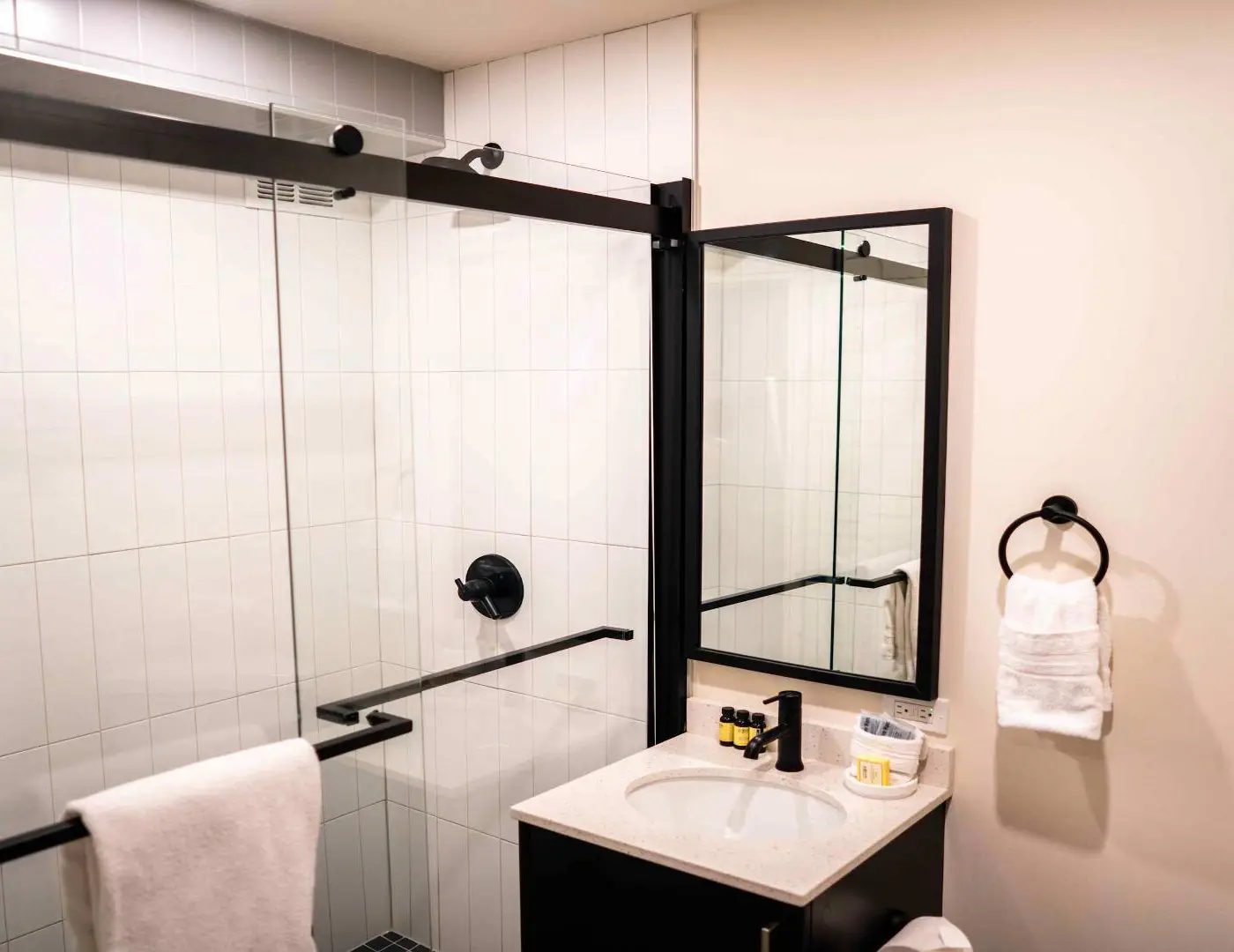 Roami at the Fitz | SDO gym, laundry in building!