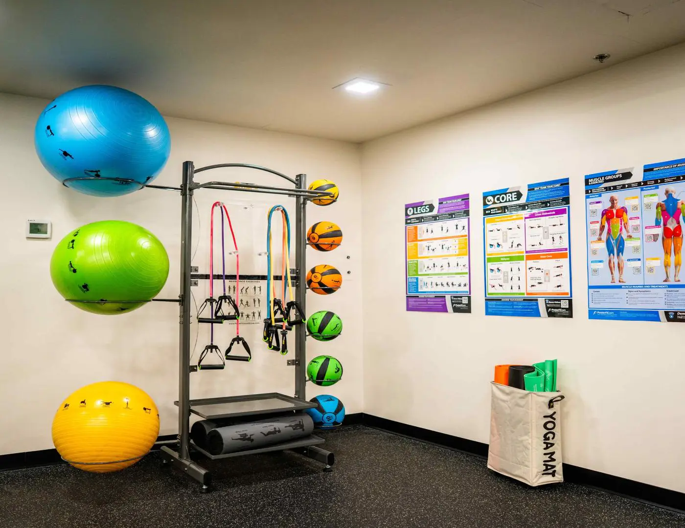 Roami at the Fitz | Stylish studio | gym