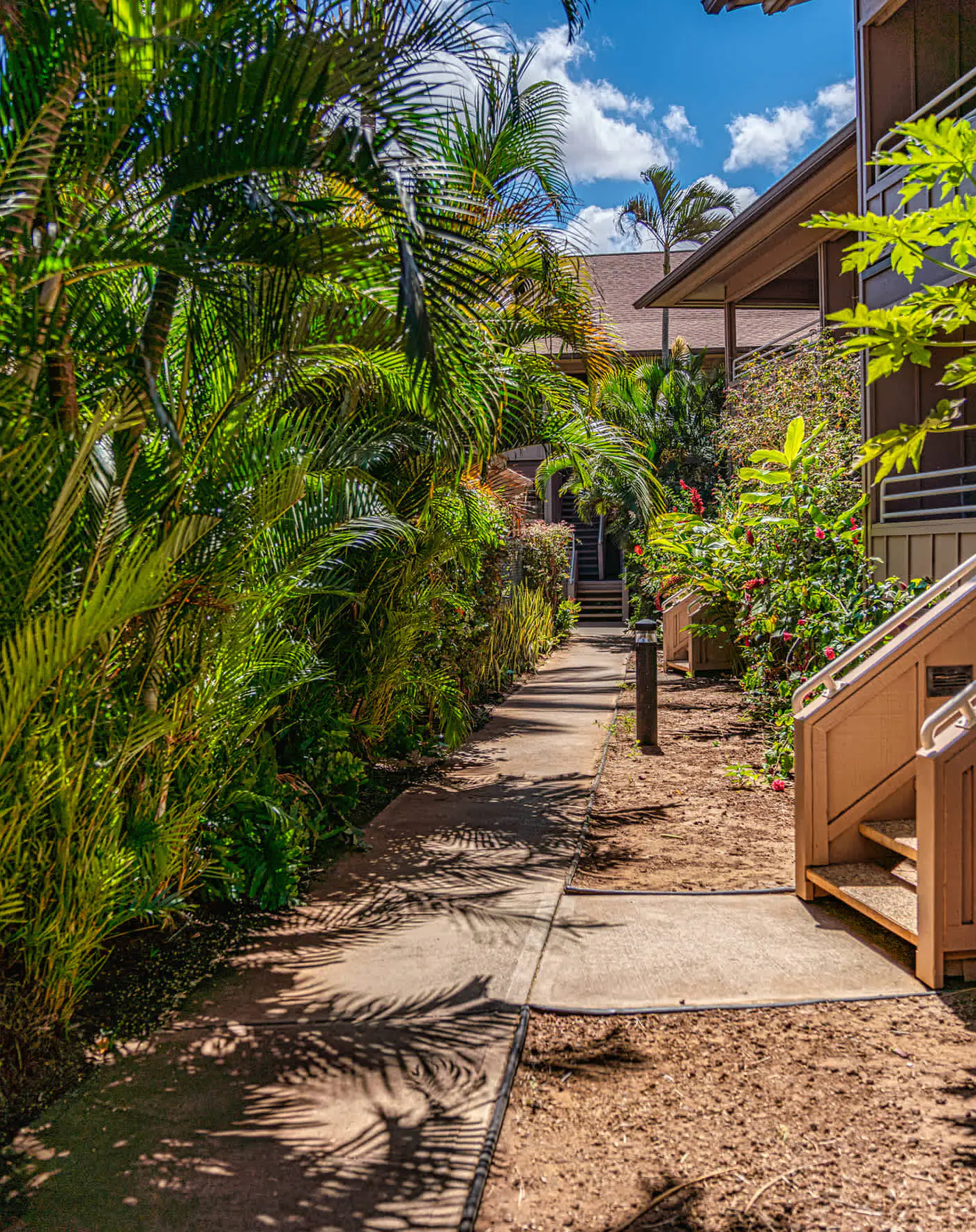 August Special! Kihei Bay Vista B102