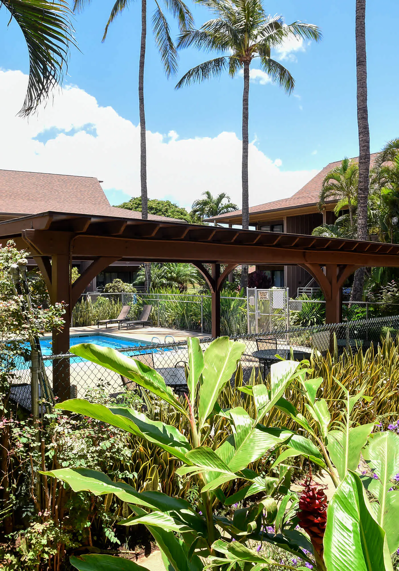 August Special! Kihei Bay Vista B102