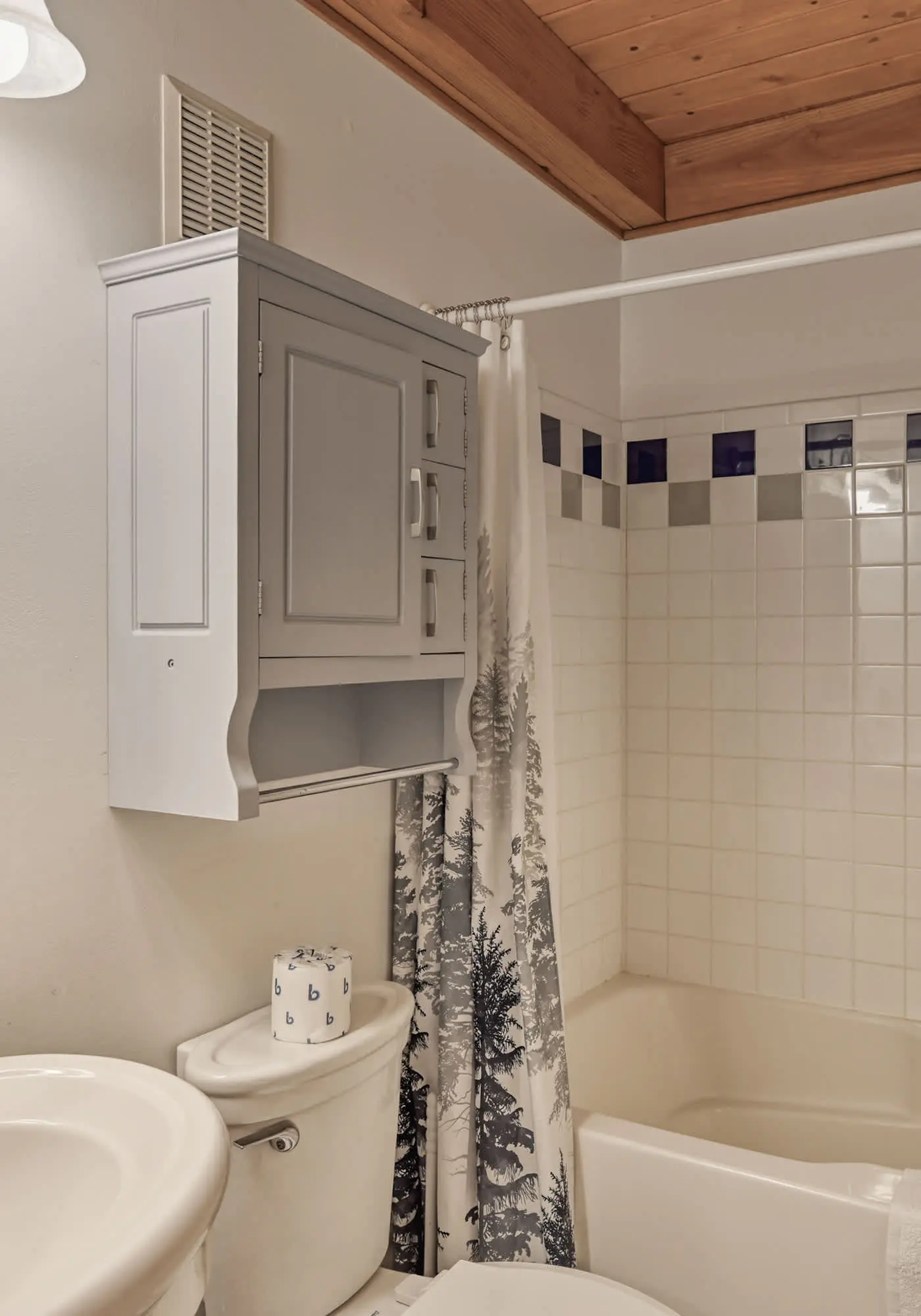 Charming 1BR Cabin - HOT TUB - Mountain View