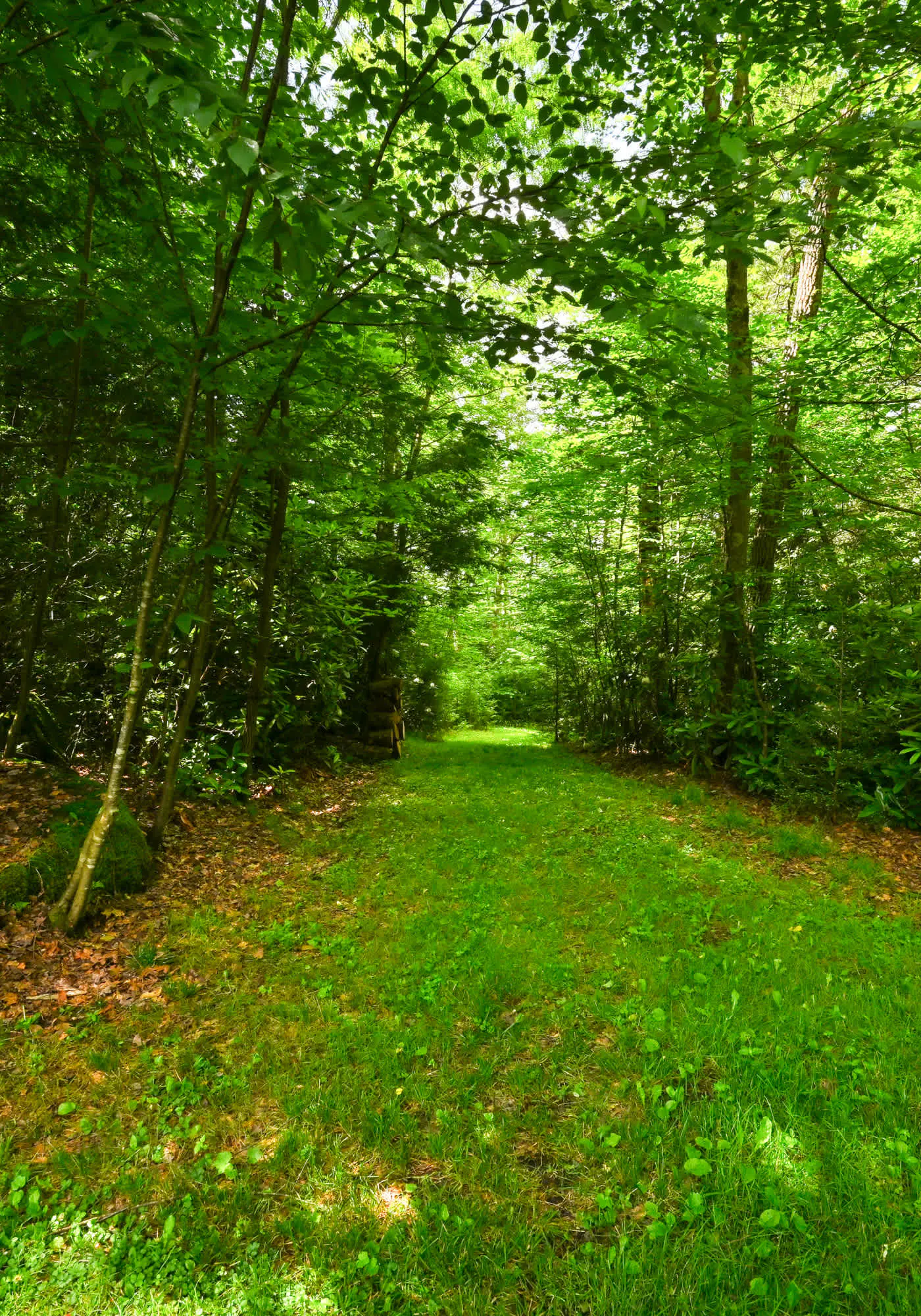 Charming 1BR Cabin - HOT TUB - Mountain View