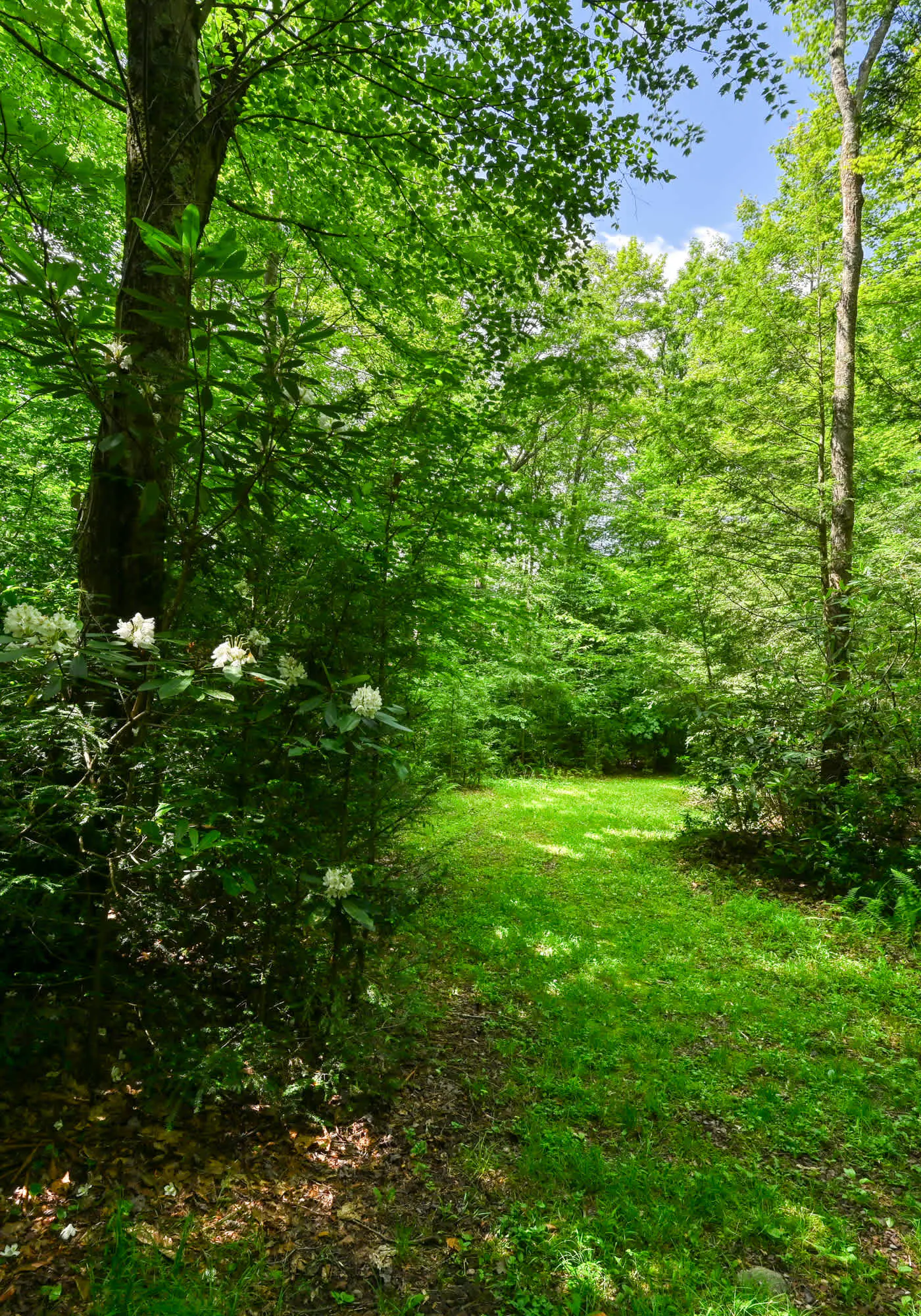 Charming 1BR Cabin - HOT TUB - Mountain View