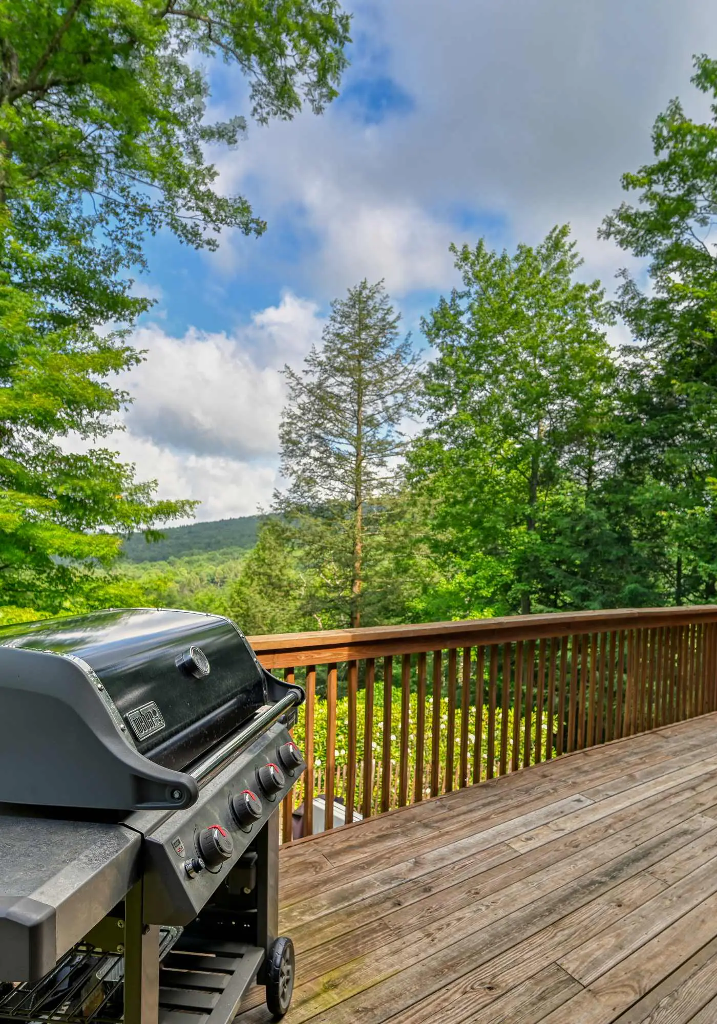 Charming 1BR Cabin - HOT TUB - Mountain View