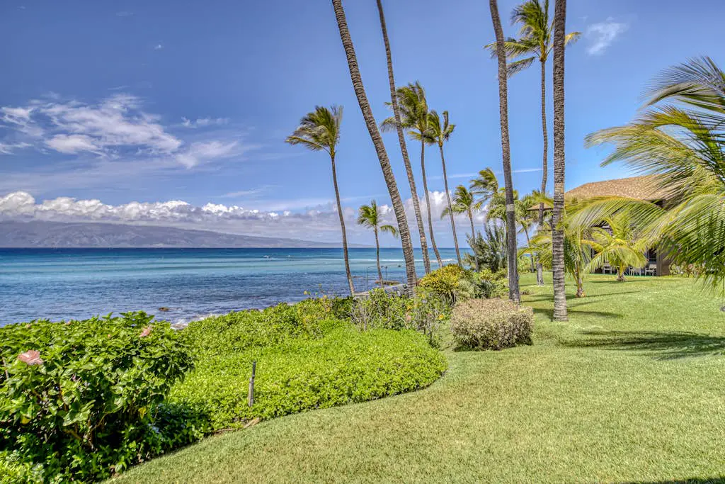 Mahina Surf 123 & 124