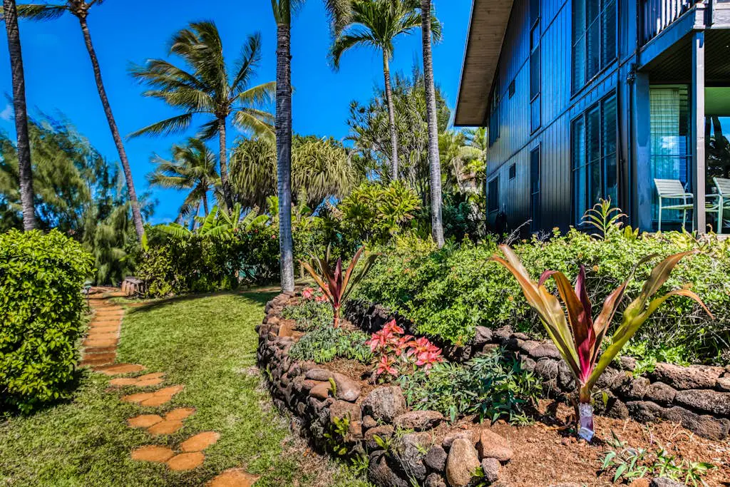 Mahina Surf 123 & 124