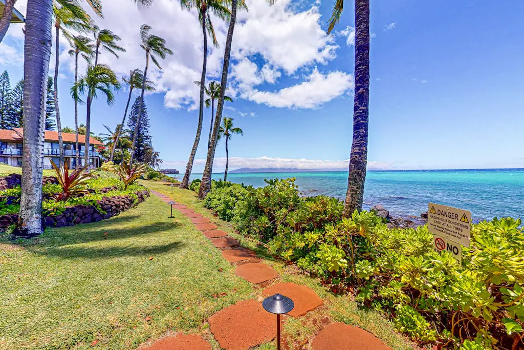 Mahina Surf 123 & 124