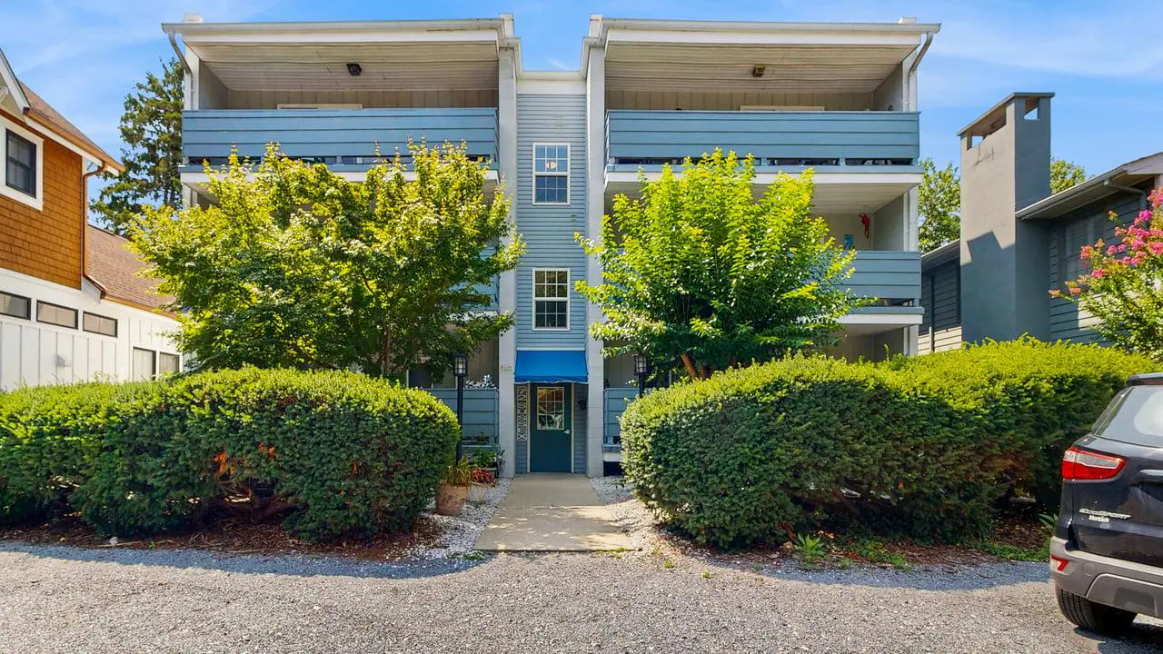 Lost Compass - 72 Sussex St #5