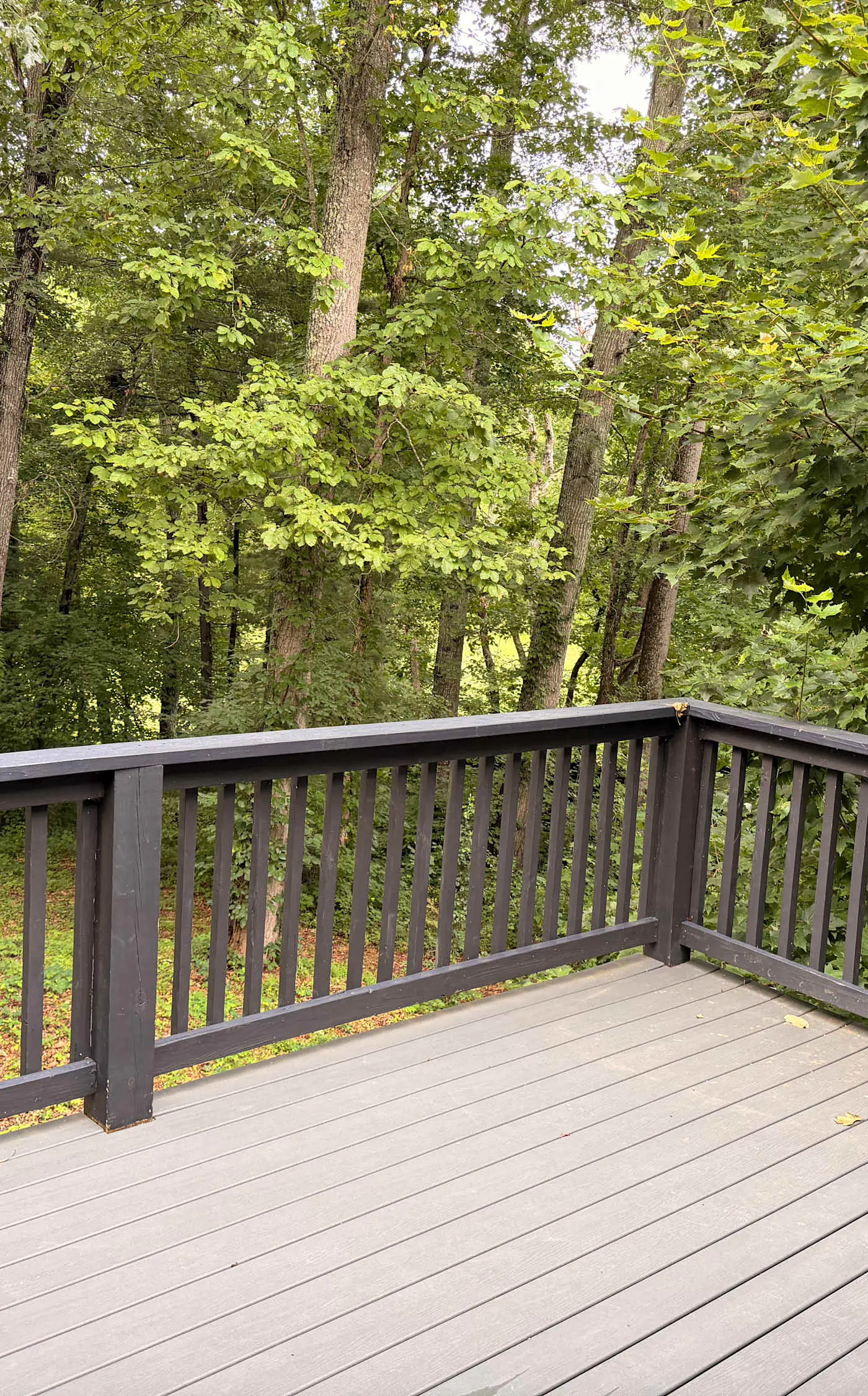 Great for gatherings, hot tub, sauna, gas grill, firepit, gameroom, outdoor seating