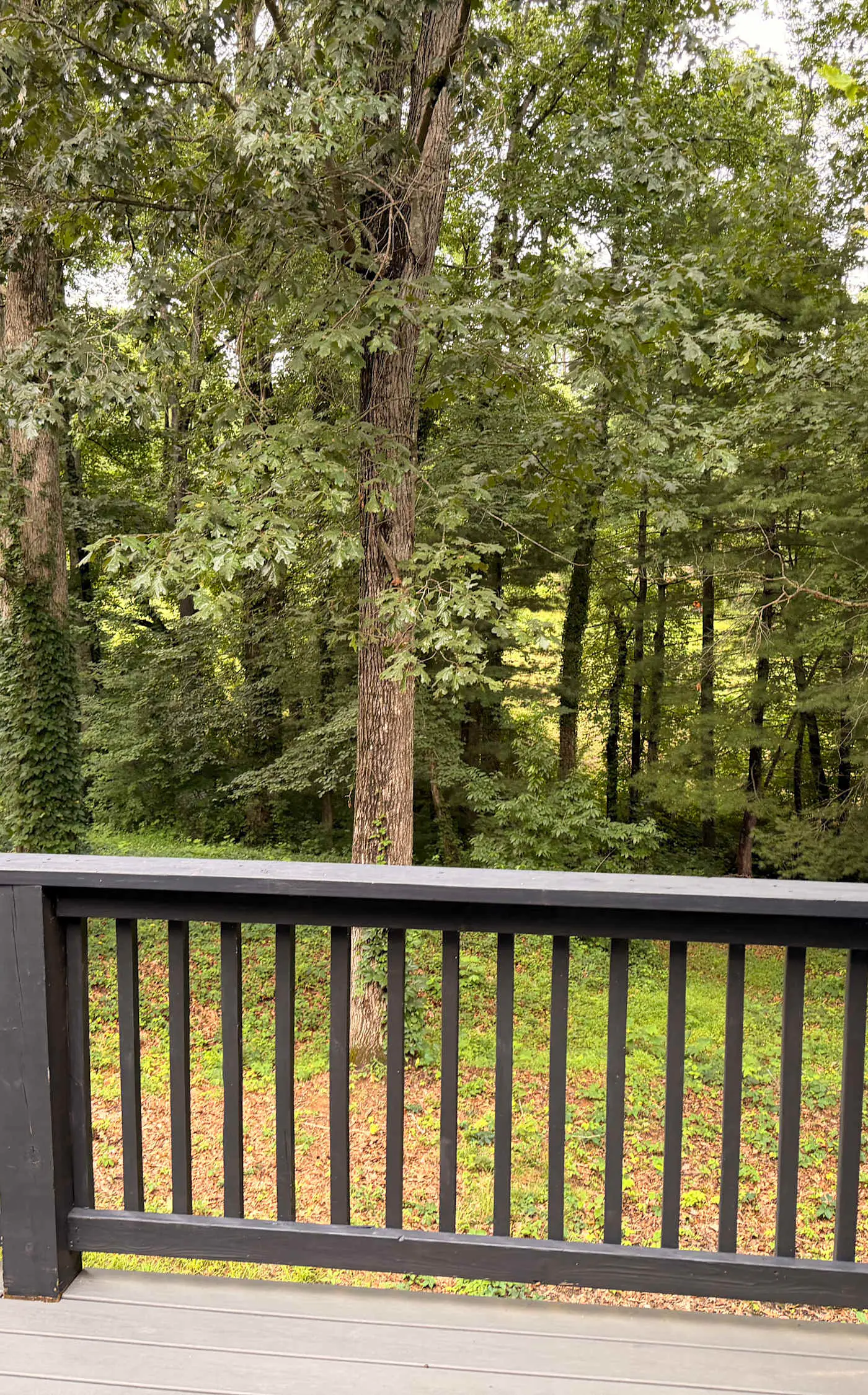 Great for gatherings, hot tub, sauna, gas grill, firepit, gameroom, outdoor seating