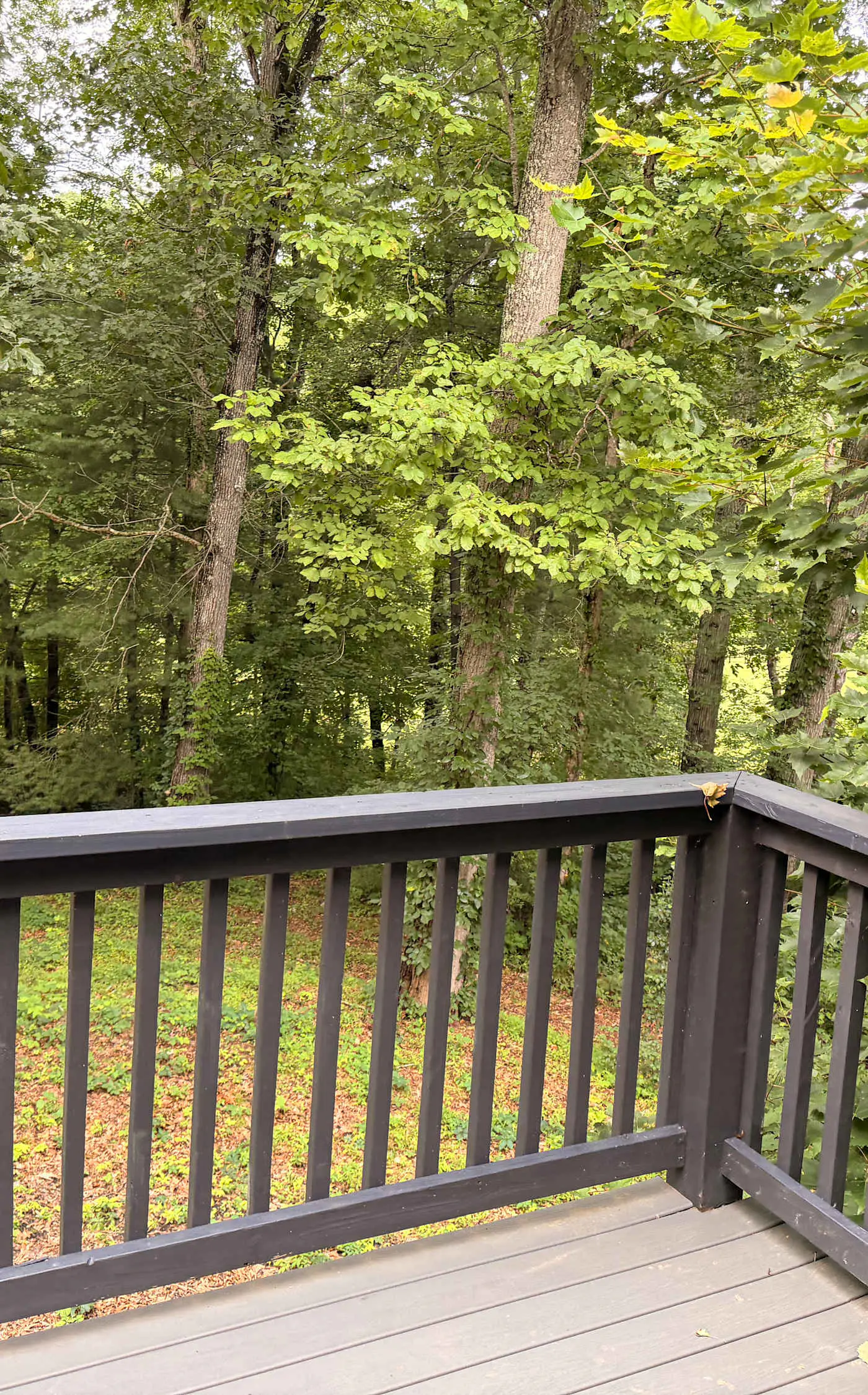 Great for gatherings, hot tub, sauna, gas grill, firepit, gameroom, outdoor seating