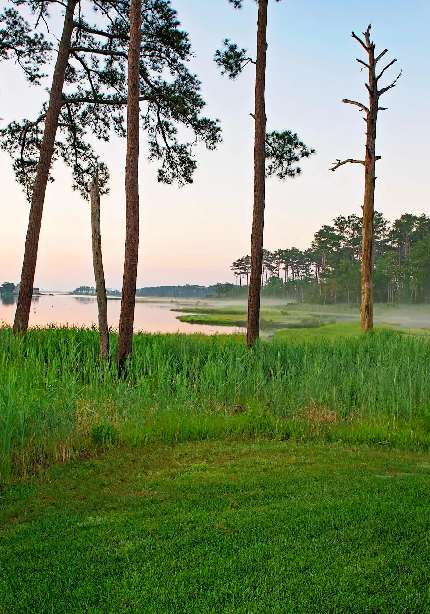 Bayside Resort - 36620 Day Lily Pkwy