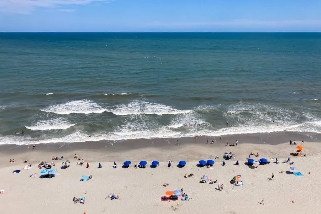 Compass Cove 560