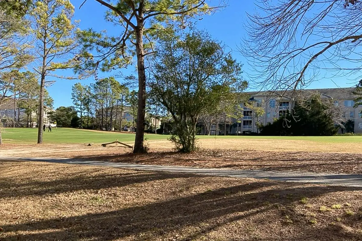 Serene Barefoot Resort Condo