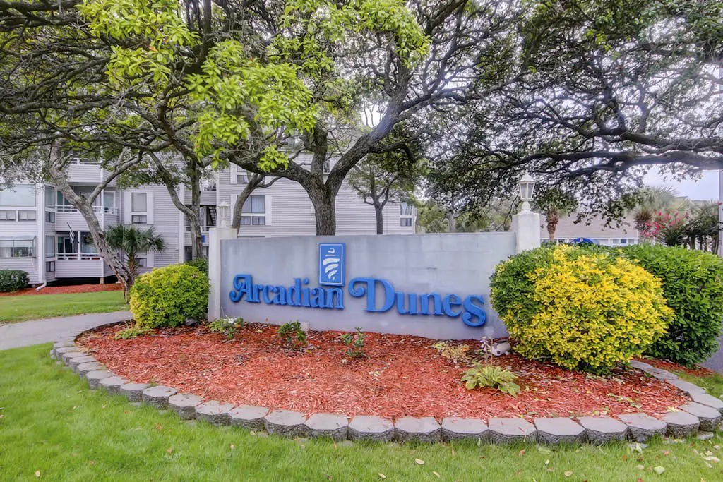 Arcadian Dunes 02-208