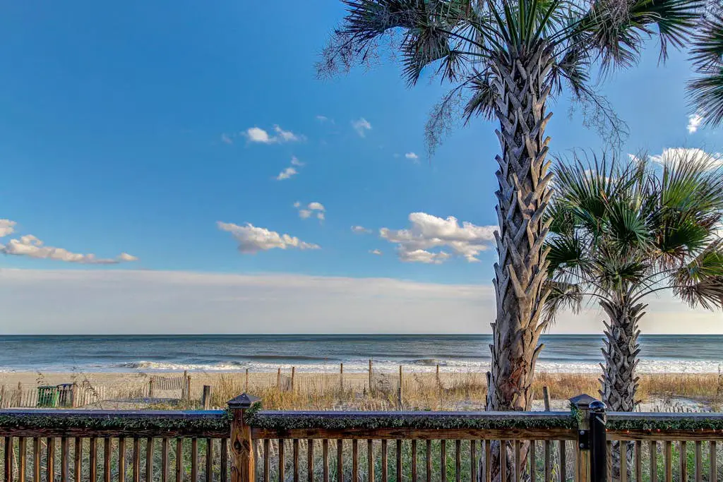 Arcadian Dunes 02-208