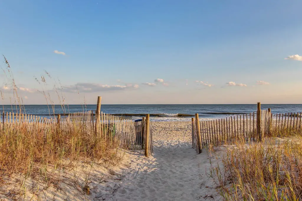 Arcadian Dunes 02-208