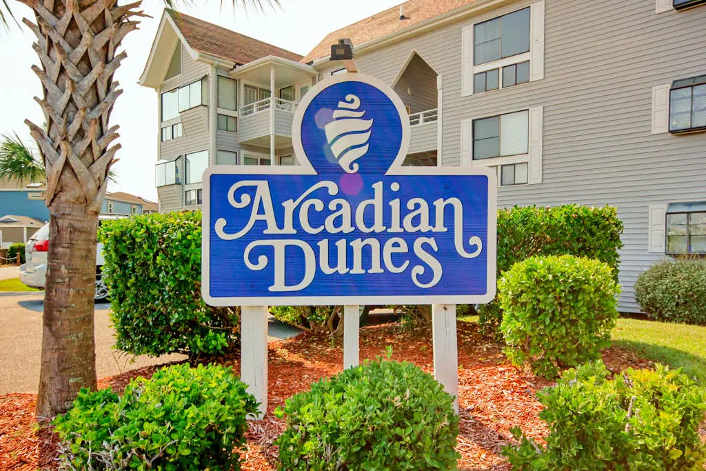 Arcadian Dunes 02-207