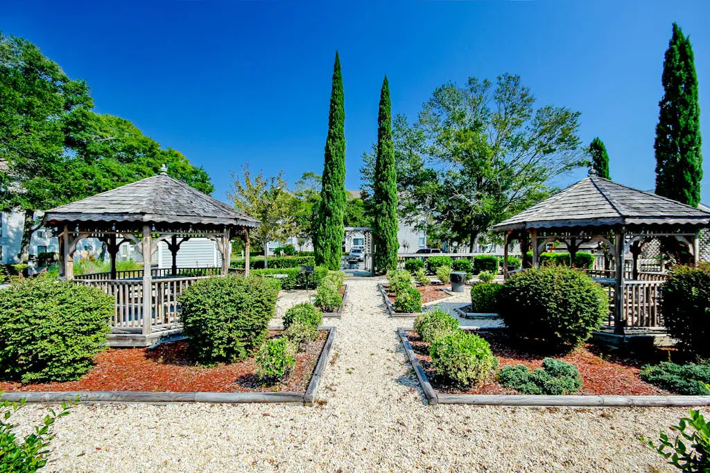 Arcadian Dunes 02-207