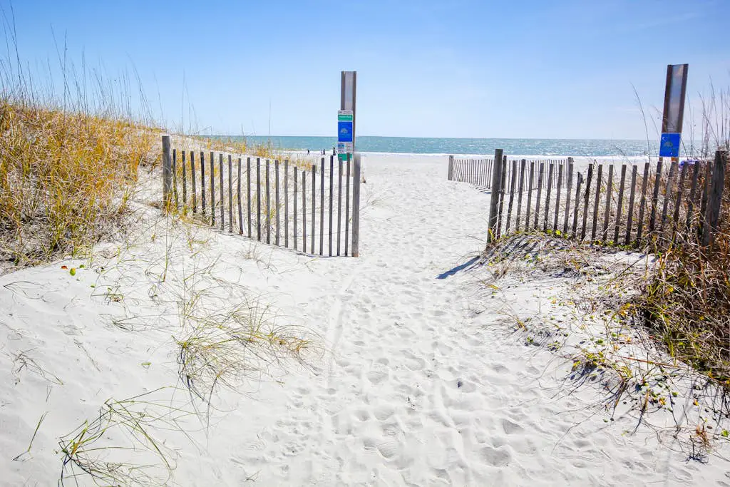 Arcadian Dunes 02-207