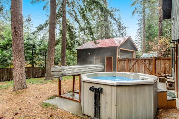 Alpine chalet with fenced yard, hot tub, Ping-Pong, fireplace, & washer/dryer