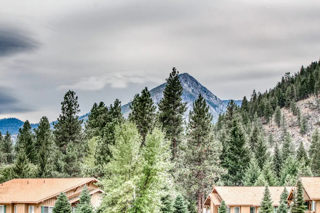 Icicle Village Resort 402 - Juniper Studio