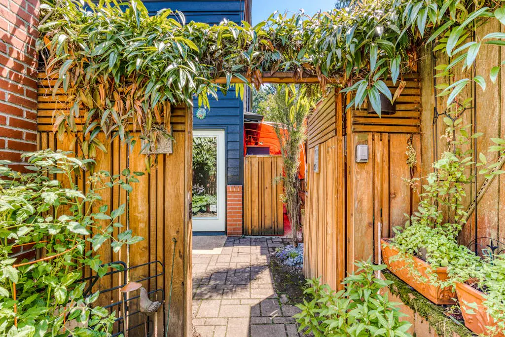 Hummingbird Haven