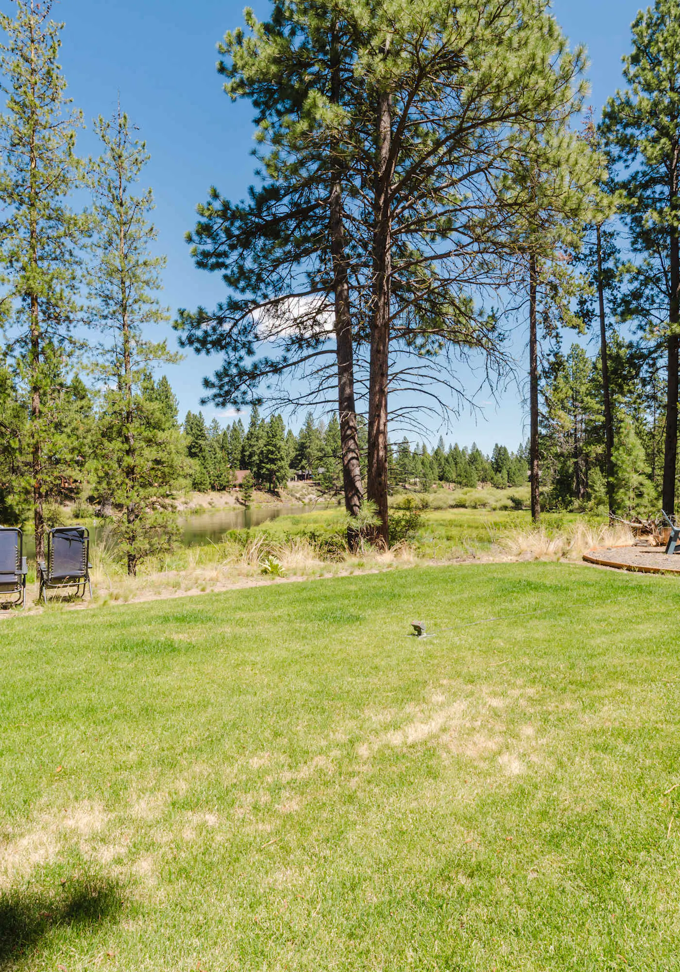 Riverfront Retreat- Paddle & Unwind, Dogs OK!