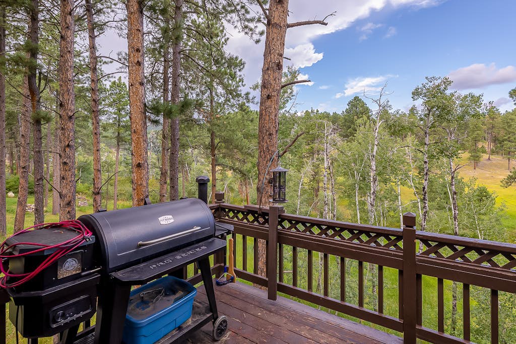 Mountain-view house with washer/dryer, fireplace, gas grill, balcony, & patio
