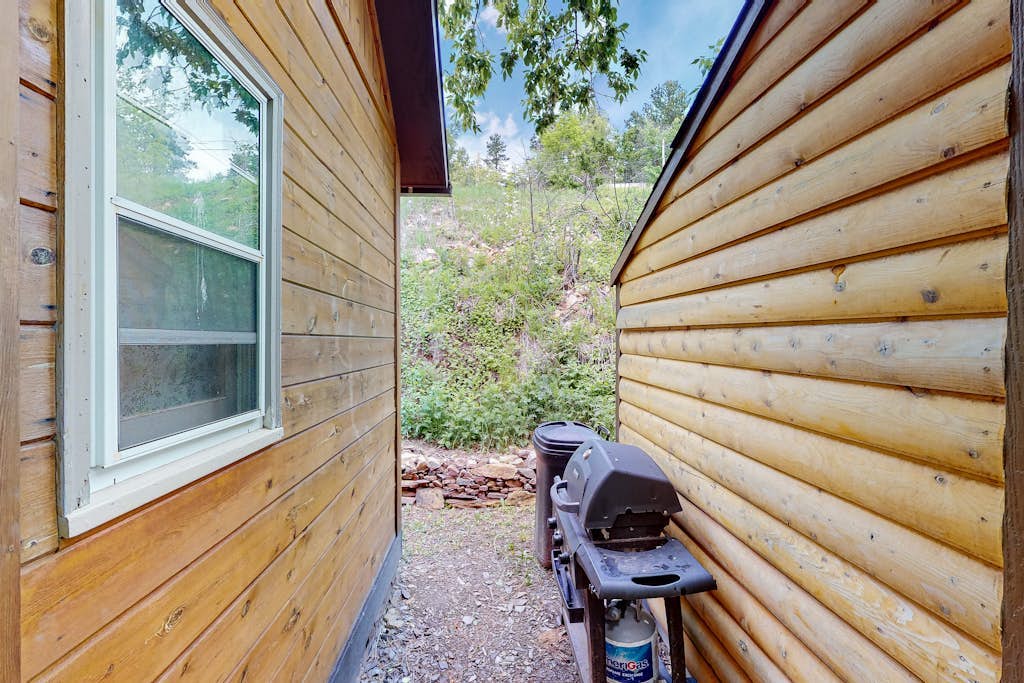 Dog-friendly cabin with amazing views, private deck, grill, patio, & W/D