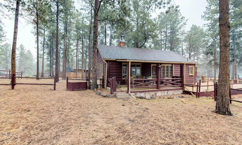Dog-friendly cabin w/ full kitchen, free WiFi, great location & updated bathroom