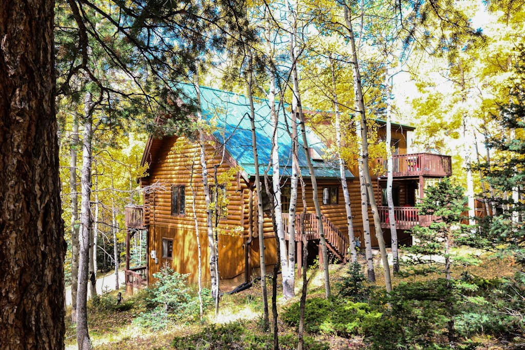 Comfortable cabin home w/wood fireplace, mountain views, National Forest access