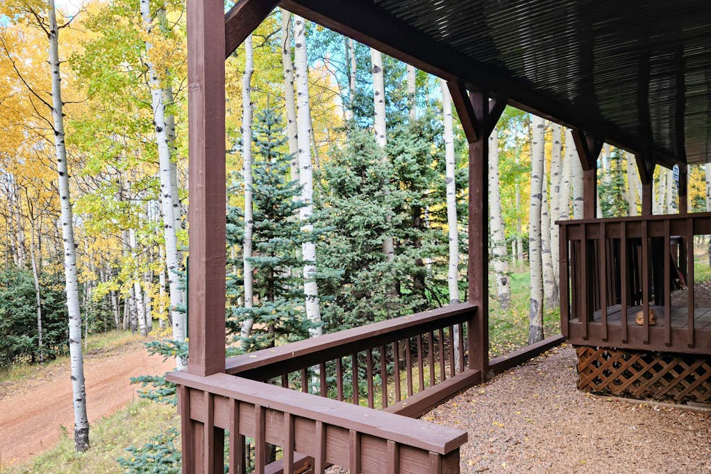 Comfortable cabin home w/wood fireplace, mountain views, National Forest access