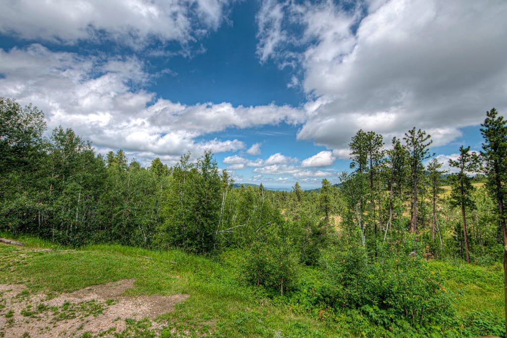 Custom cabin on 10 acres with firepit, wood stove, game room & forest views