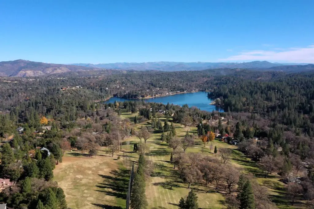 Above the Green