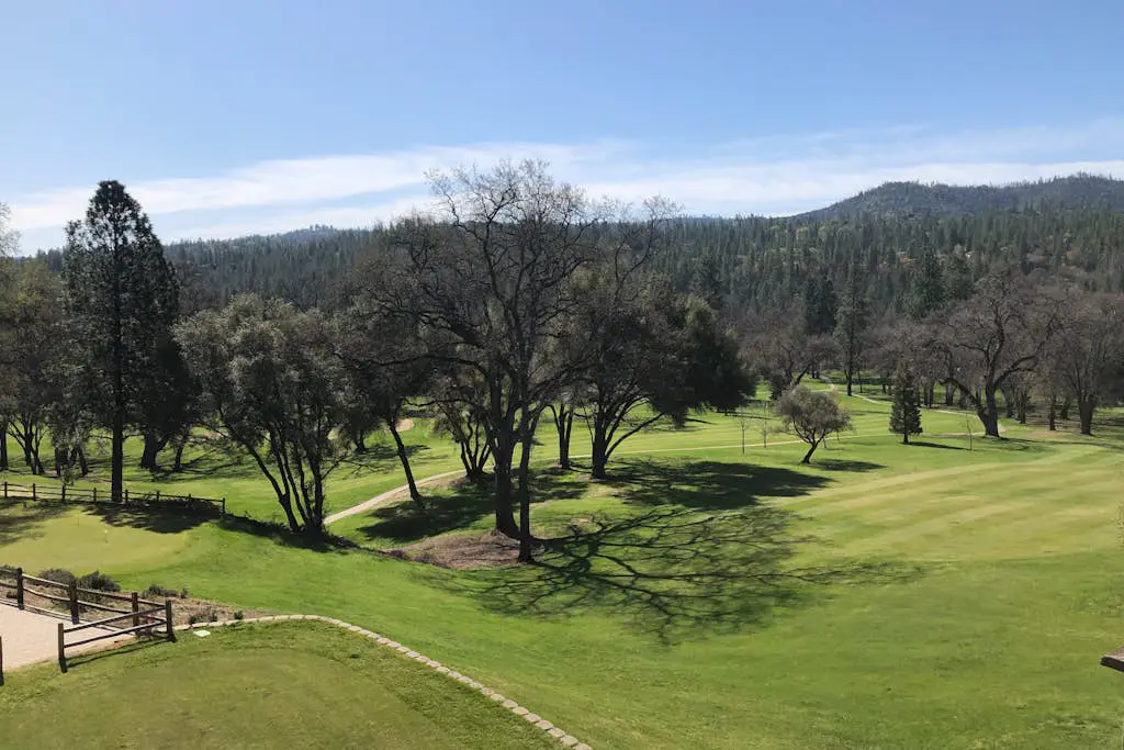 Above the Green