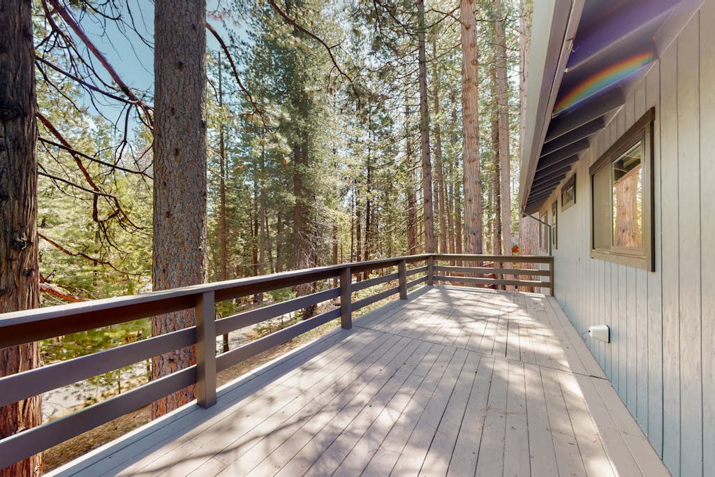 Dog-friendly remodeled home with forest views, wood stove, deck, washer/dryer