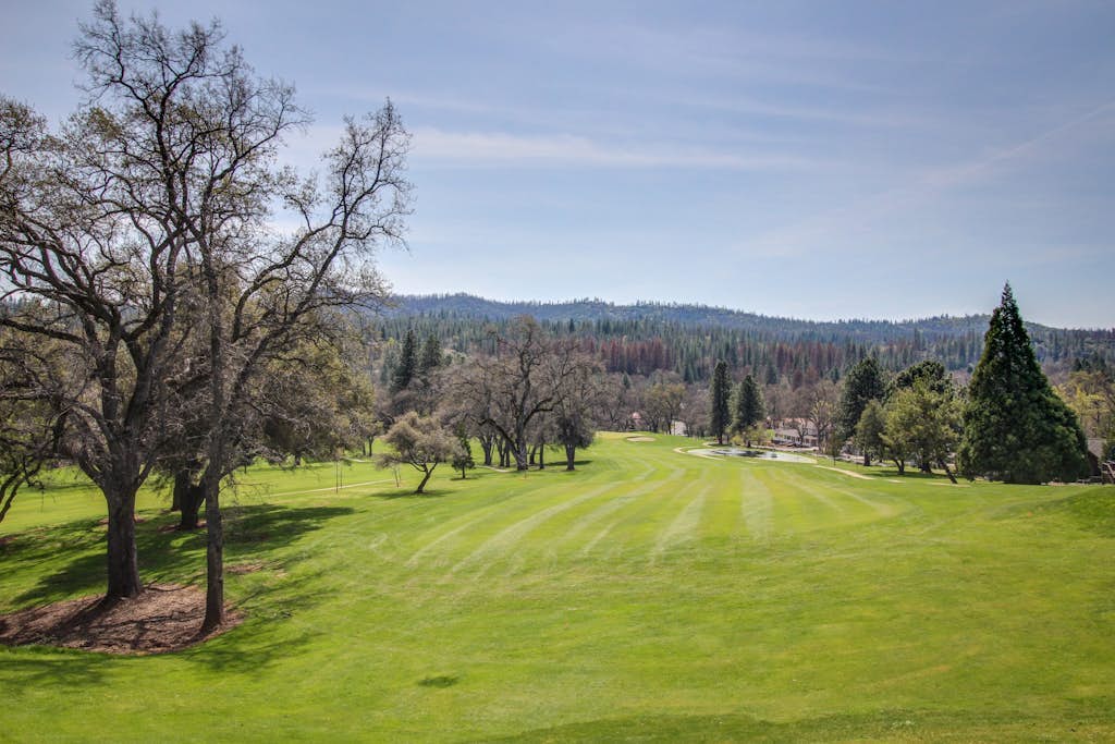 Charming, dog-friendly retreat with a fireplace, modern kitchen, & washer/dryer