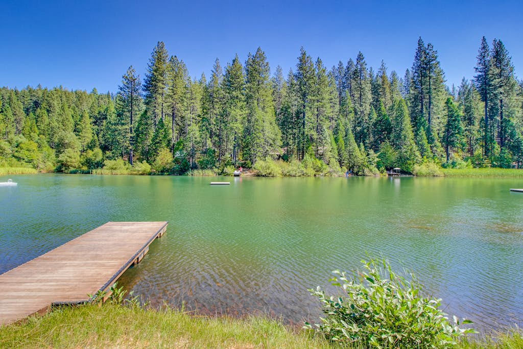 Cozy Blue Lake Springs cabin w/ big trees, decks, game room, and private W/D