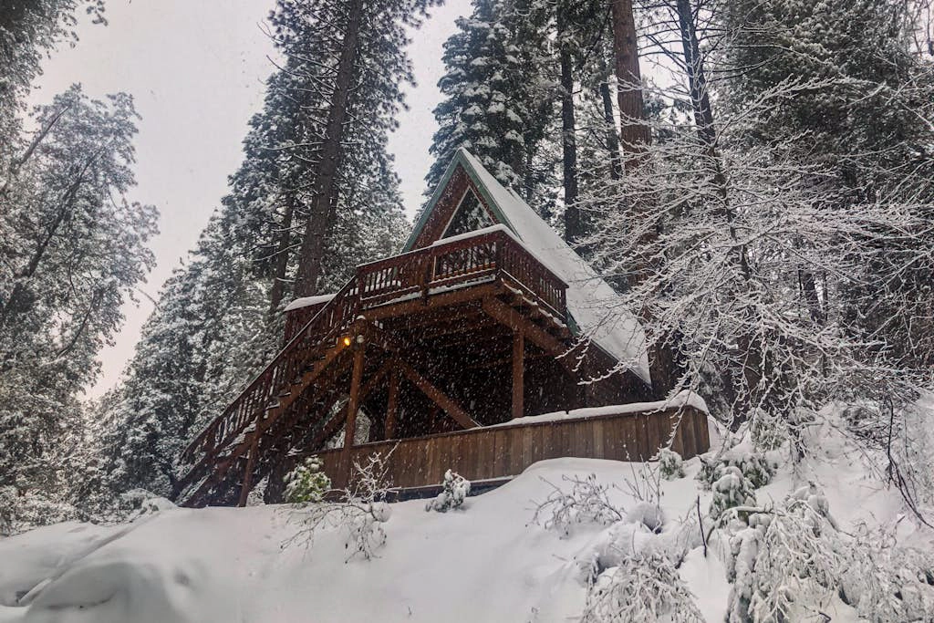 Big Trees Getaway