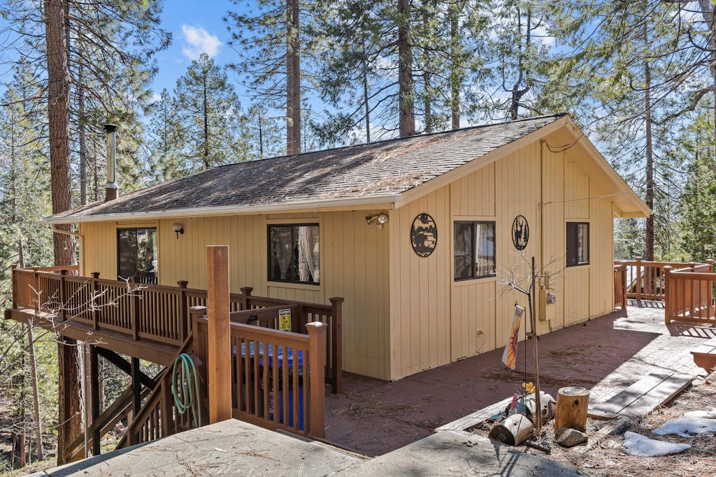Big Trees, Little Cabin