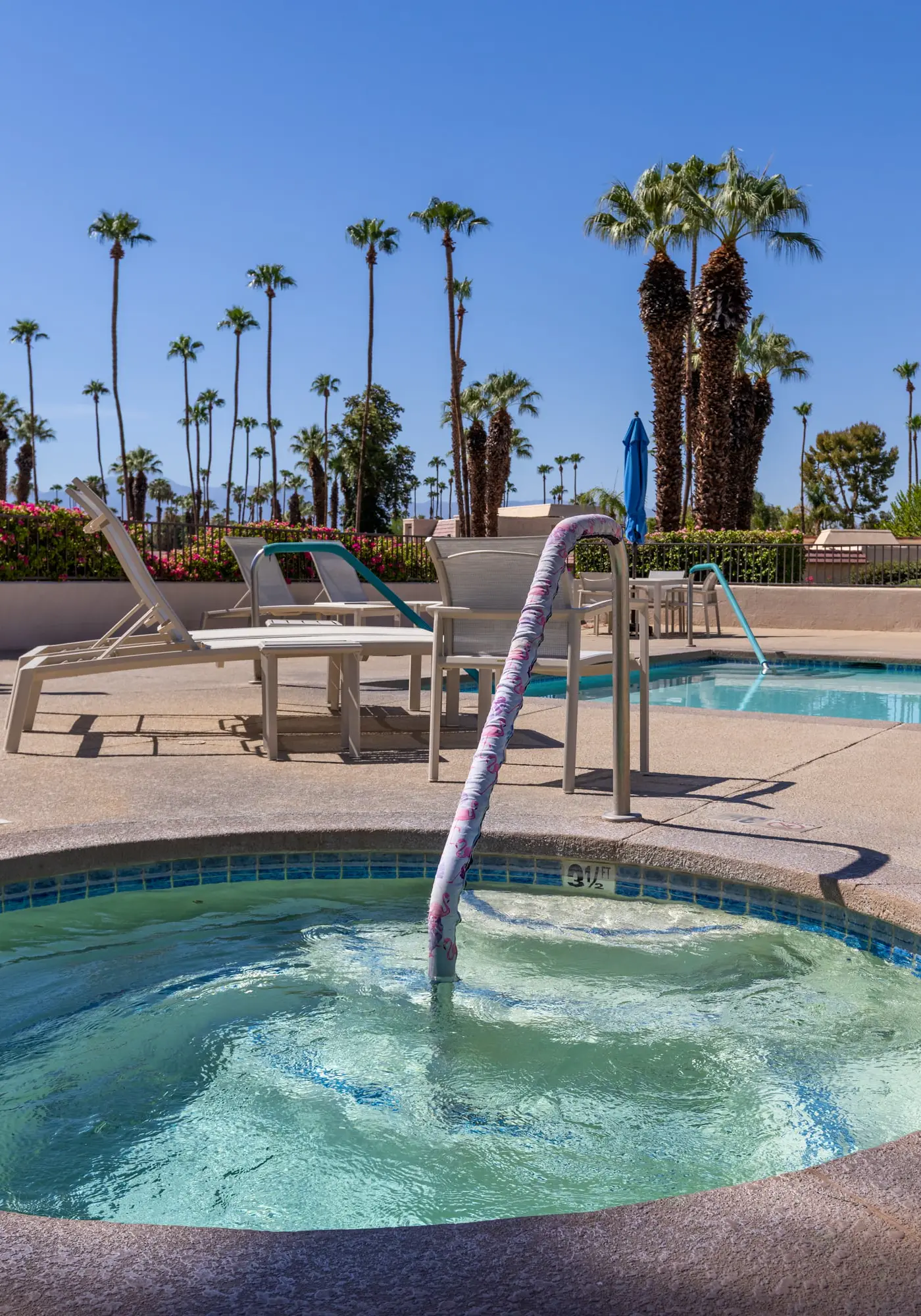 Desert Shores