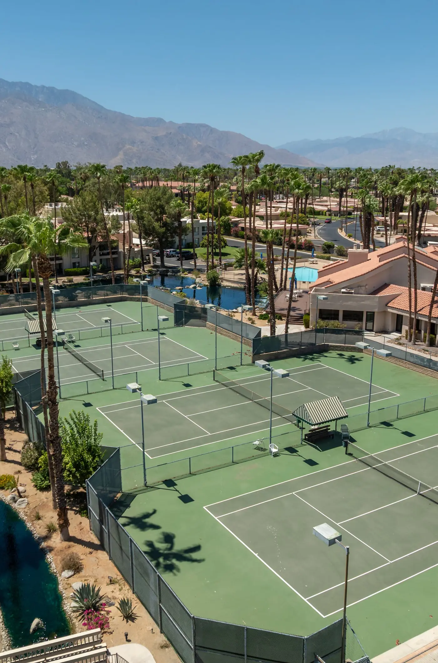 Desert Shores