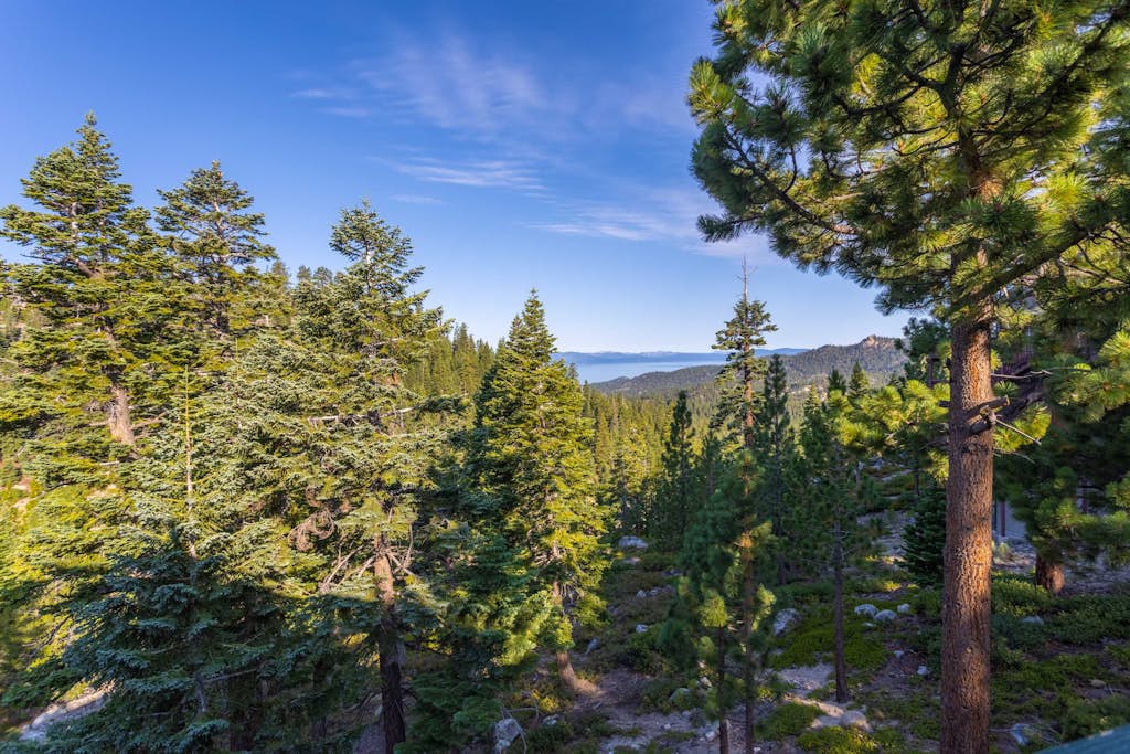 Heavenly Vista Lago Lake Views