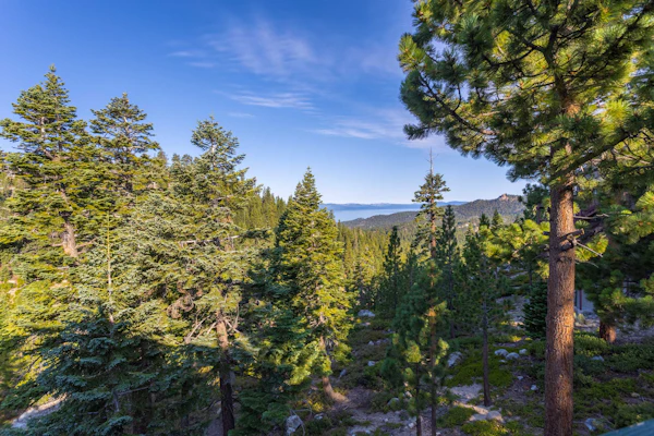 Heavenly Vista Lago Lake Views