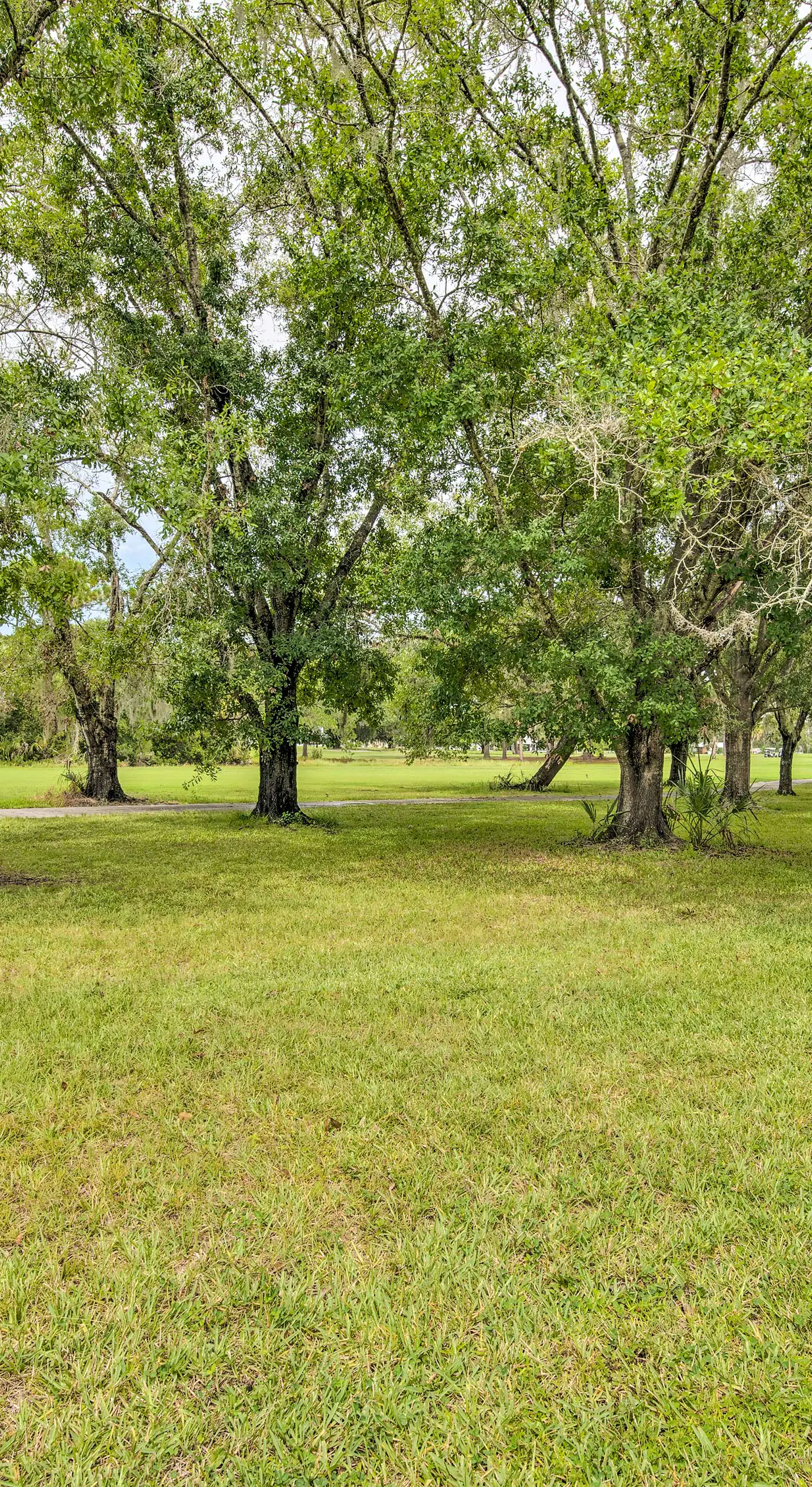 Crystal River Gem Near Three Sisters Springs!