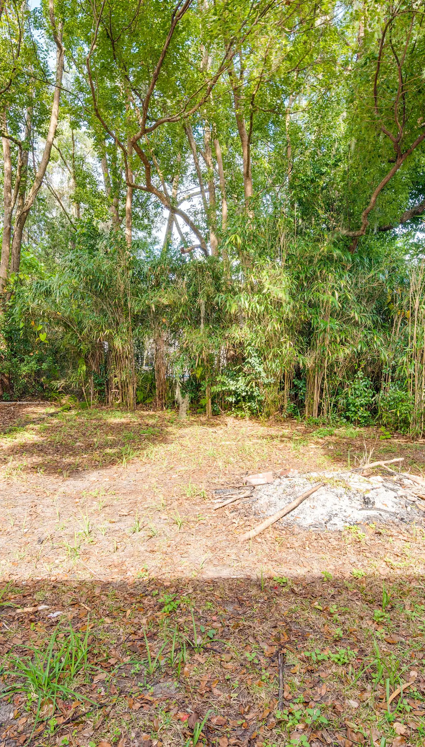 Walk to River & Shops: Downtown Dunnellon Escape