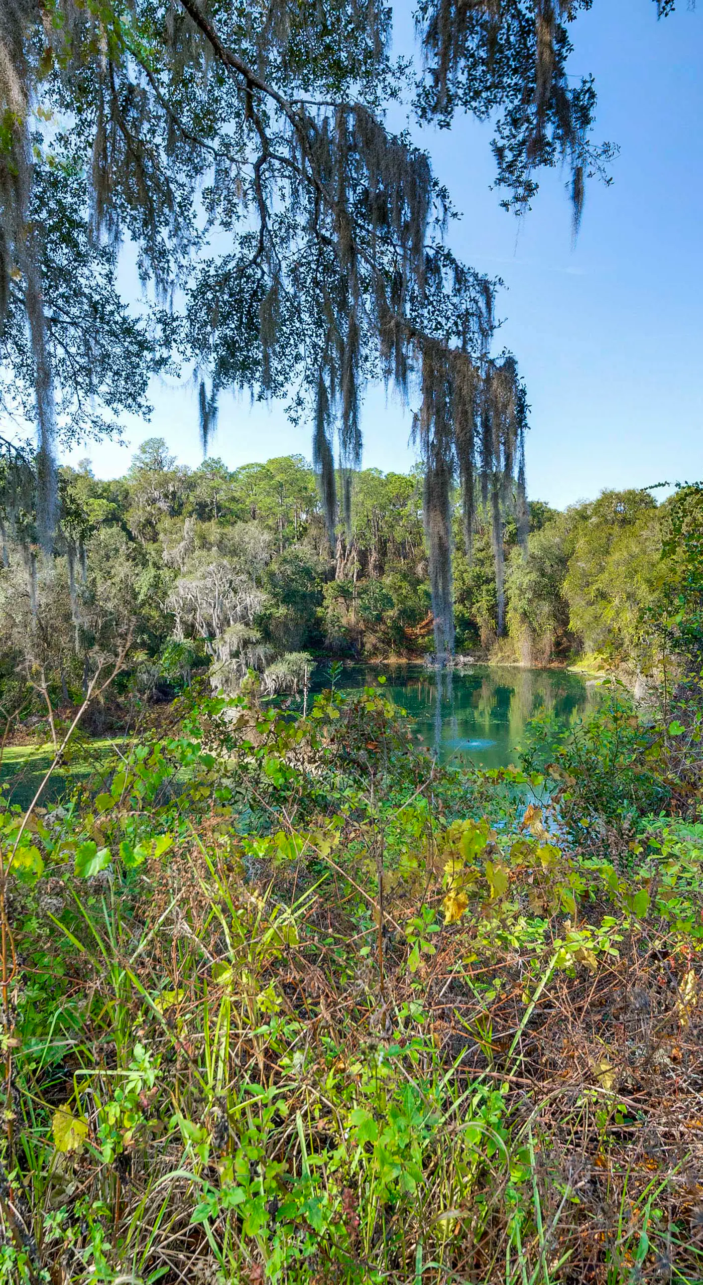 Spacious Hernando Home: Community Pool + Lake!